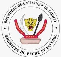téléchargement