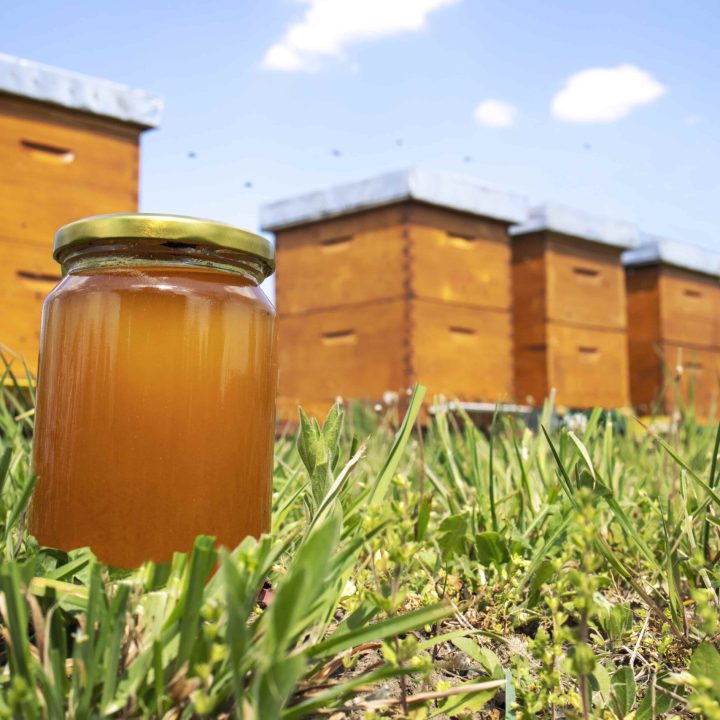 honey-jar-beehives-meadow-springtime (1)-min honey-jar-beehives-meadow-springtime (1)-min