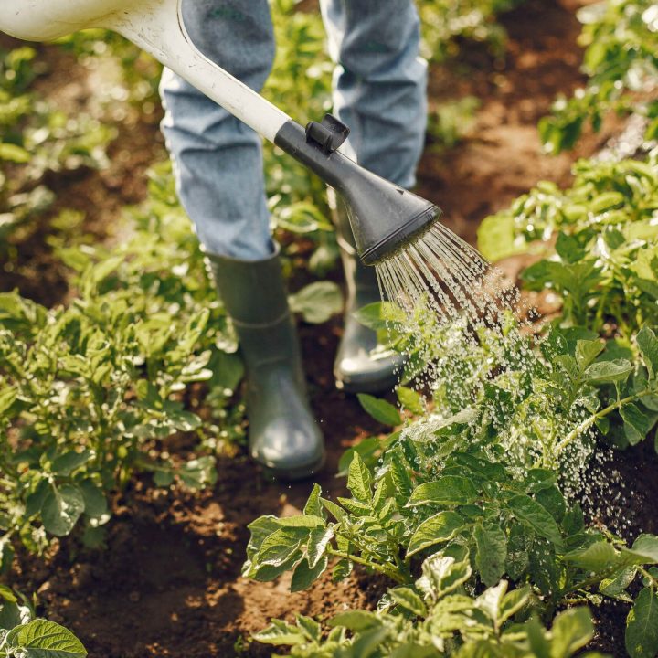 woman-hat-holding-funnel-works-garden-min woman-hat-holding-funnel-works-garden-min